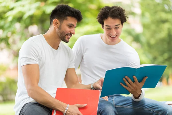 Two Students Studying Together Sitting Bench Outdoor — Stock Photo, Image