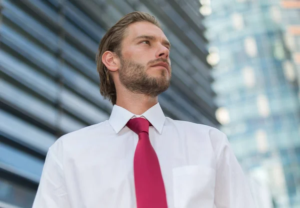 Handsome Young Businessman Business Environment — Stock Photo, Image