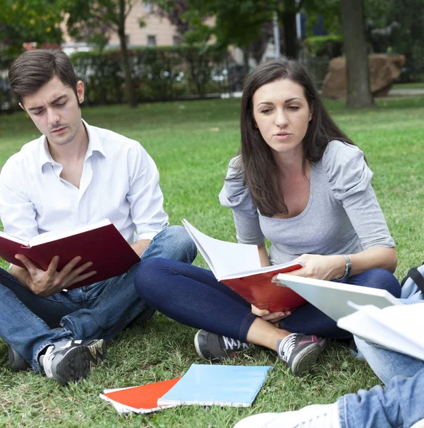 Groep Vrienden Samen Studeren Een Park — Stockfoto