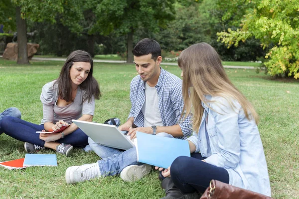 Grupo Amigos Estudando Juntos Parque — Fotografia de Stock