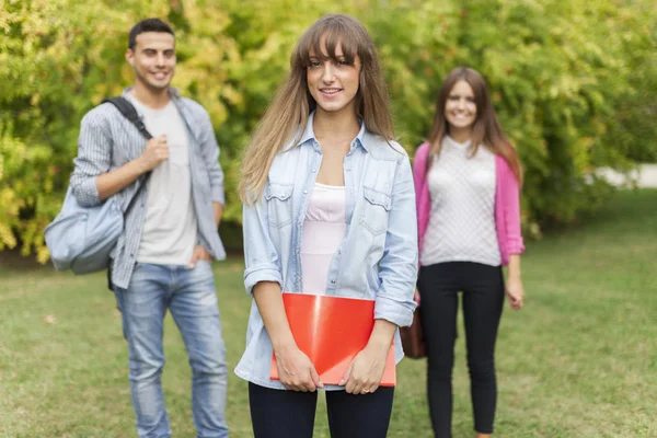 Plenerowej Uśmiechający Się Młoda Kobieta Przed Grupą Studentów — Zdjęcie stockowe