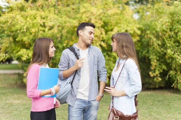 Outdoor Portrait Group Smiling Students Talking Royalty Free Stock Photos