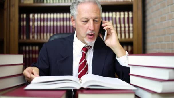 成熟した弁護士はあまりにも多くの仕事を彼は叫んで 怒っている電話で話しています — ストック動画