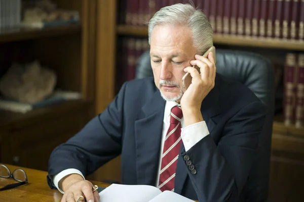 Empresario Usando Teléfono Móvil Mientras Lee Agenda — Foto de Stock