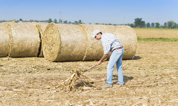 Agricultor Trabalho Seu Campo — Fotografia de Stock