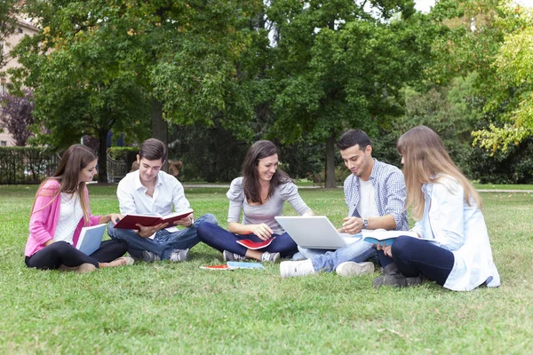 Grupo Estudiantes Que Estudian Aire Libre —  Fotos de Stock