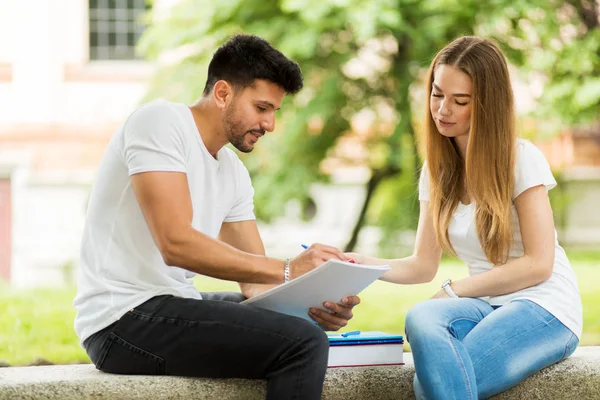 2人の学生が一緒にベンチの屋外に座って勉強する — ストック写真