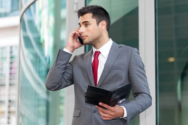 Zakenman Praten Aan Telefoon Tijdens Het Lezen Van Notities — Stockfoto