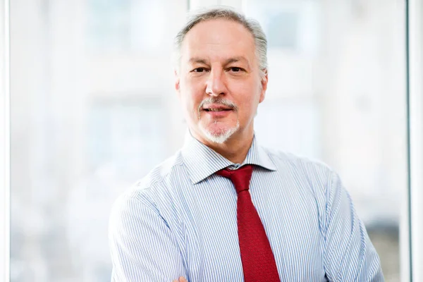 Helder Portret Van Een Senior Business Man Tegen Een Achtergrond — Stockfoto