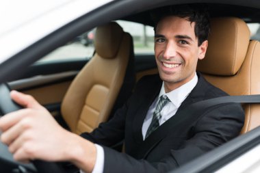 Arabasını süren adam.