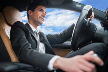 Arabasını süren adam.