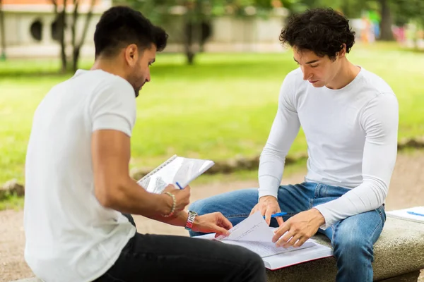Two students studying together sitting on a bench outdoor