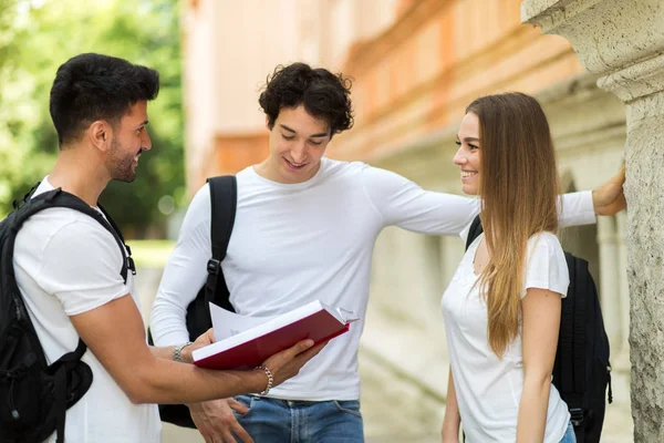 Tři Studenti Spolu Mluví Venku Nádvoří Vysoké Školy — Stock fotografie