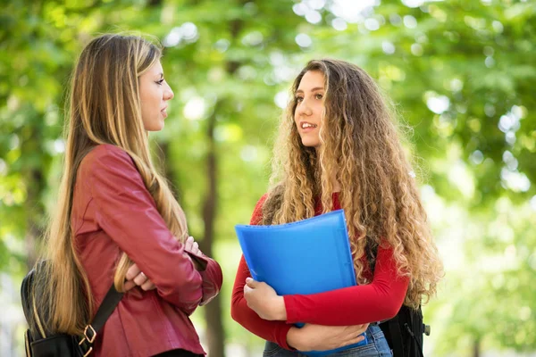 Jovens Estudantes Conversando Livre — Fotografia de Stock