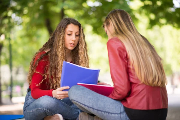 Junge Studenten Lernen Gemeinsam Freien — Stockfoto