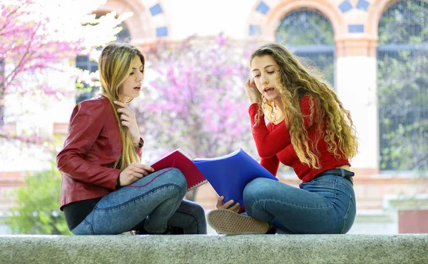 Δύο Μαθητές Που Μελετούν Μαζί Κάθονται Ένα Παγκάκι Έξω — Φωτογραφία Αρχείου