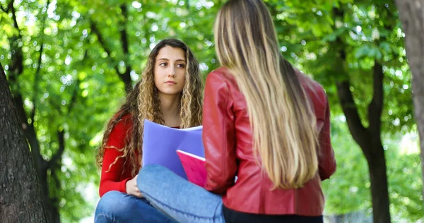 Dwóch Studentów Studiujących Razem Ławce Świeżym Powietrzu — Zdjęcie stockowe