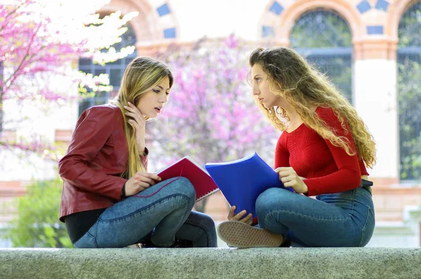 Dva Studenti Studující Společně Sedí Lavičce Venku — Stock fotografie