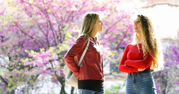 Twee Schoolvriendinnen Aan Het Praten Een Binnenplaats — Stockfoto