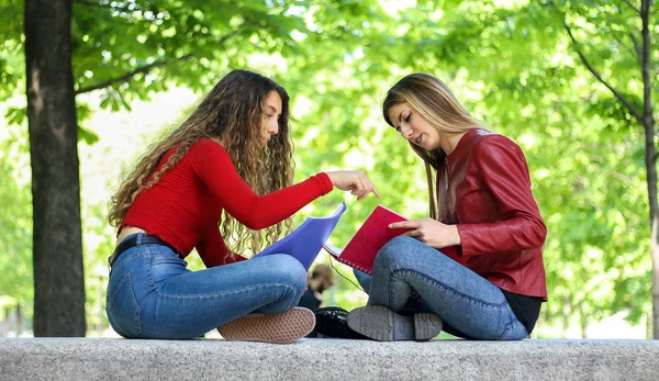 Due Studenti Che Studiano Insieme Seduti Una Panchina All Aperto — Foto Stock