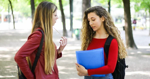 Duas Alunas Conversando Pátio Faculdade — Fotografia de Stock