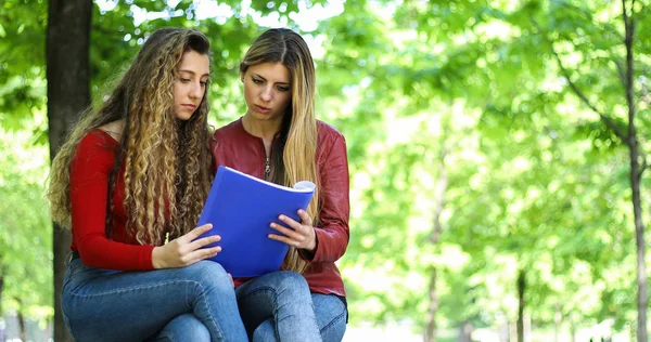 Dois Estudantes Estudando Juntos Sentados Banco Livre — Fotografia de Stock