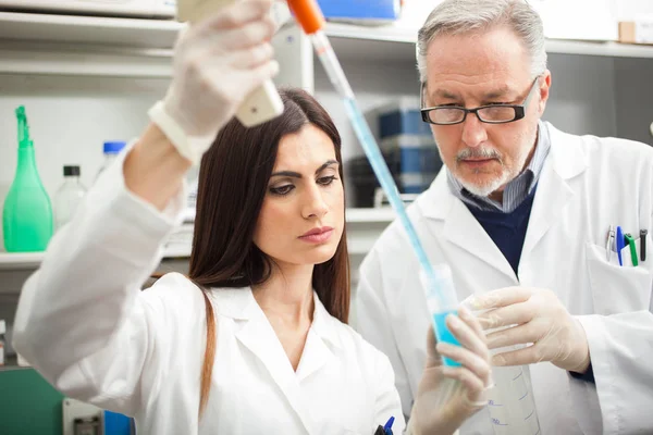 Wissenschaftler Bei Der Arbeit Ihrem Labor — Stockfoto