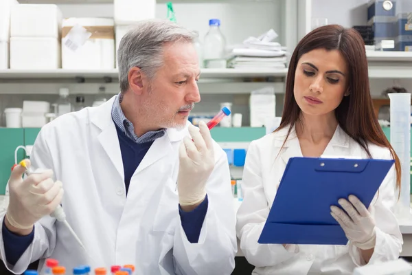 Paar Van Wetenschappers Aan Het Werk Een Laboratorium — Stockfoto