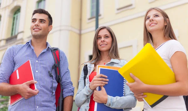 Utomhus Porträtt Grupp Studenter Framför Sin Skola — Stockfoto