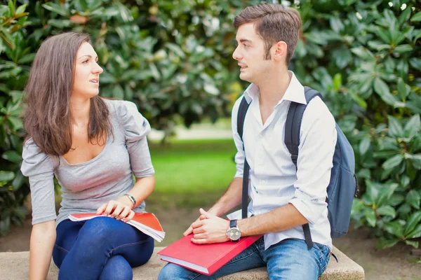 Male and female students speaking to each other