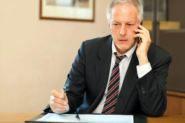 Porträt Eines Leitenden Geschäftsmannes Bei Der Arbeit — Stockfoto