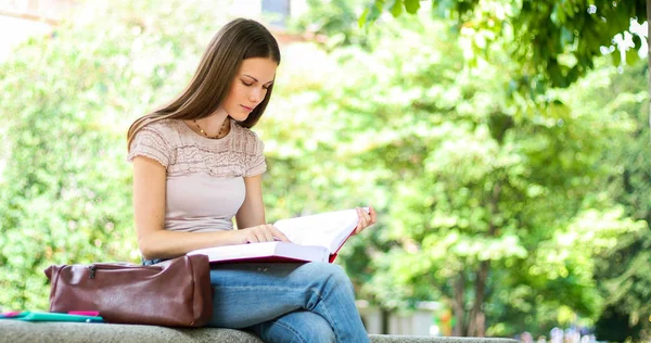 Piękna Studentka Czyta Książkę Ławce Parku — Zdjęcie stockowe