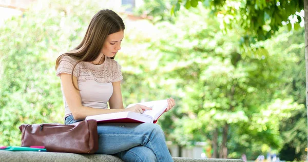 Güzel Bir Üniversite Öğrencisi Parkta Bir Bankta Kitap Okuyor — Stok fotoğraf