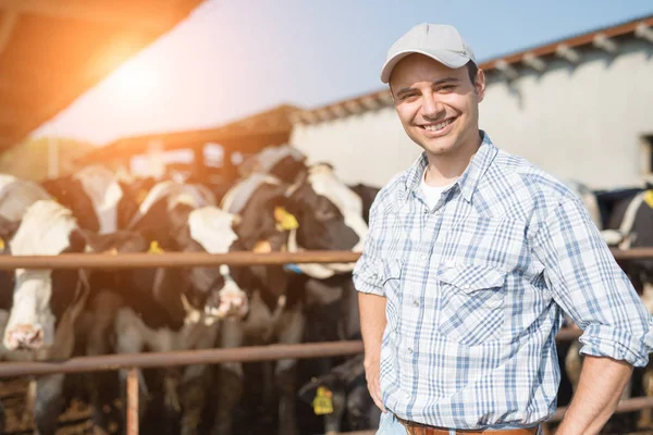 Breeder Front His Cows — Stock Photo, Image
