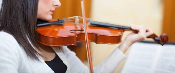 ヴァイオリンを弾く女ワイドバナー — ストック写真
