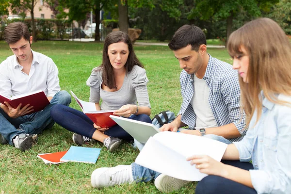 Grupo Estudantes Que Estudam Livre — Fotografia de Stock