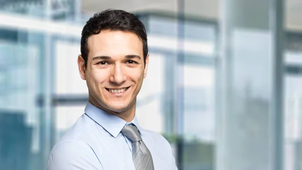 Retrato Belo Homem Negócios — Fotografia de Stock