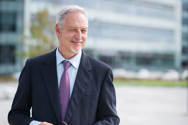 Retrato Sonriente Del Gerente Ejecutivo Aire Libre — Foto de Stock