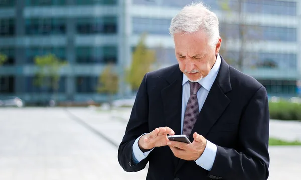 Uomo Affari Maturo Con Smartphone Piedi — Foto Stock