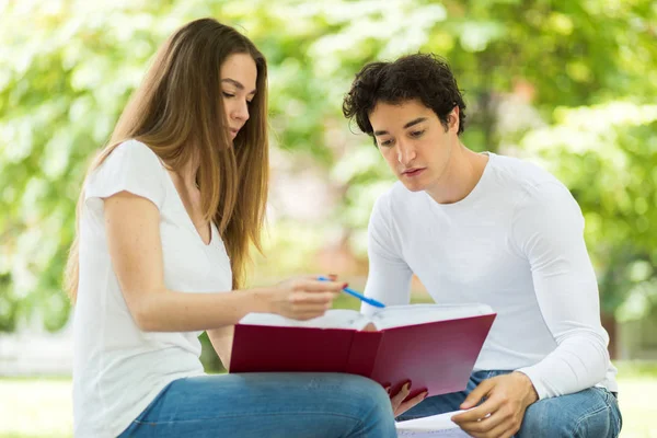 Two Students Studying Together Sitting Bench Outdoor Stock Image