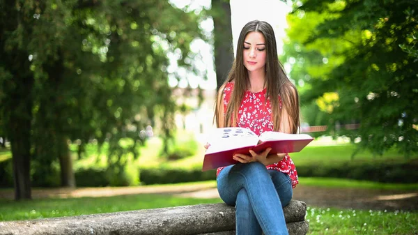 Красивая Студентка Колледжа Читает Книгу Скамейке Парке — стоковое фото
