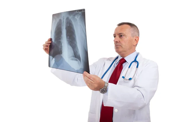 Médecin Examinant Une Radiographie Pulmonaire Isolée Sur Fond Blanc — Photo