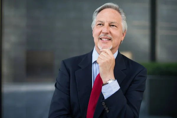 Smiling Pensive Businessman Front His Office — Stock Photo, Image