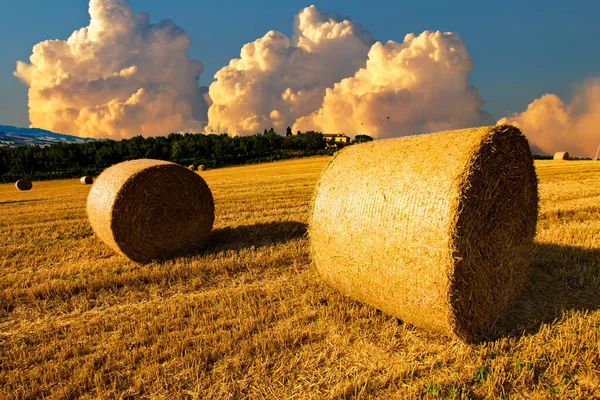 Aur Apus Soare Peste Teren Agricol Baloți Fân — Fotografie, imagine de stoc