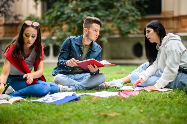 Studenten Zitten Het Gras Studeren Samen Het Park — Stockfoto