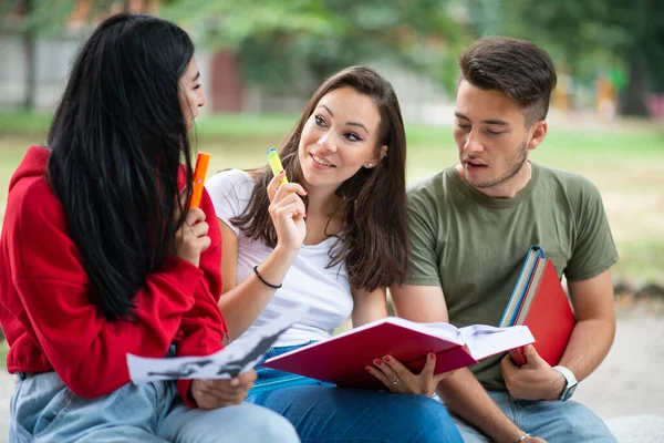 Group Students Studying Outdoor Park School College University — Stock Photo, Image