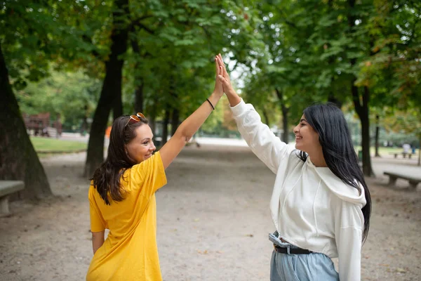 Mujeres Dando Unos Otros Alto Cinco Éxito Felicidad Concepto —  Fotos de Stock