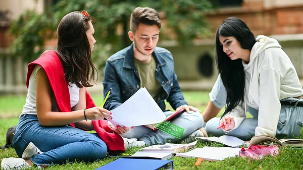 草の上に座って公園で一緒に勉強する学生 — ストック写真