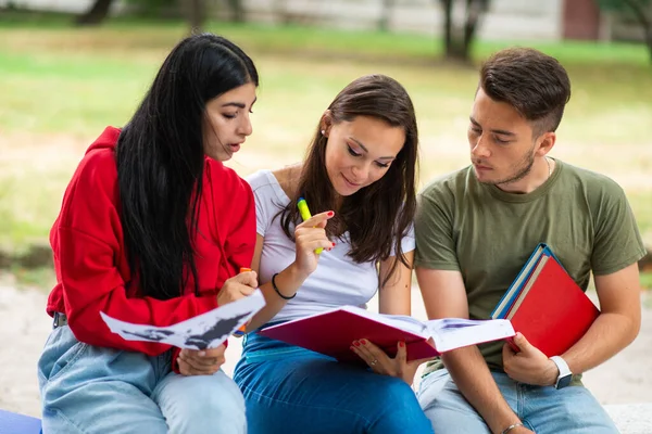 Grupa Studentów Uczących Się Świeżym Powietrzu Parku Pobliżu Szkoły Koledżu — Zdjęcie stockowe