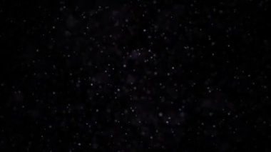 Siyah ve koyu parçacıklar. Arka plan rahatlatıcı doğal yüzen organik parçacıklar üzerinde güzel. Işıltılı parçacıklar Bokeh ile. Ağır çekim.